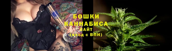 крисы Верея