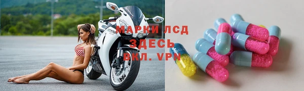 крисы Верея