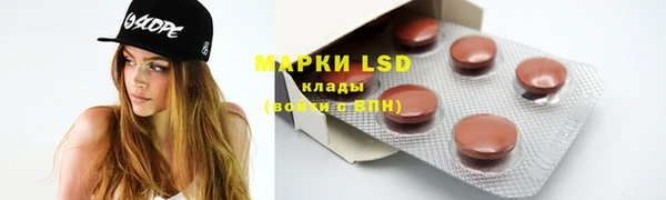 крисы Верея