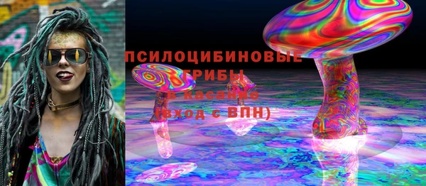 крисы Верея