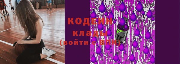 крисы Верея